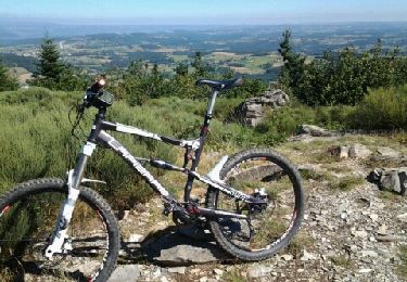 Tocht Mountainbike Yssingeaux - sortie rapide - Photo