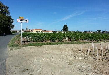 Randonnée Vélo Bordeaux - bordeaux, lesparre médoc - Photo