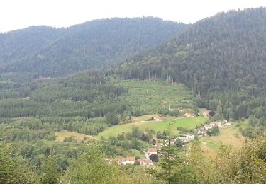 Tour Wandern Moussey - point de vue sentier découverte - Photo