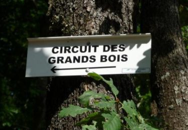 Percorso Marcia Épinal - Circuit des Grand Bois - Deyvillers - Photo
