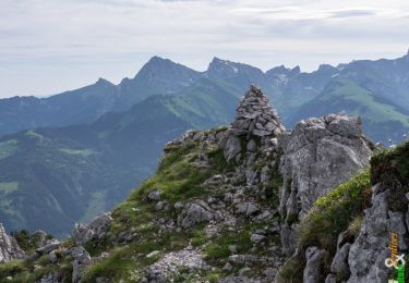 Tocht Stappen Le Biot - Le Mont Ouzon 1880 m, depuis le Col du Corbier - Photo