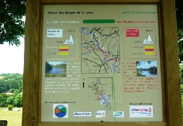 Trail Walking Balbigny - Autour des Gorges de la Loire - GR de Pays N° 4 : Le Viaduc des Chessieux - Les Chessieux - Photo
