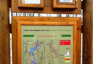 Trail Walking Villerest - Autour des Gorges de la Loire - GR de Pays N° 7 : Du barrage de Villerest au pont de Presle - Villerest - Photo