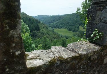 Tocht Stappen Raulhac - Le château de Messilhac - Raulhac - Photo
