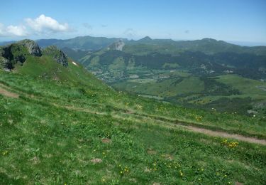 Tour Wandern Pailherols - Du refuge des Fraux au Plomb du Cantal - Photo