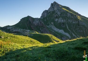 Trail Walking Mieussy - La Pointe de Chalune 2116 m, par le Col de Vésinaz - Photo