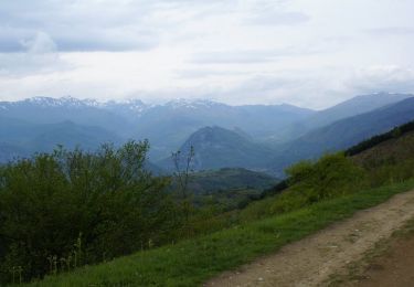 Excursión Bici de montaña Arnave - Mont Fourcat - Arnave - Photo