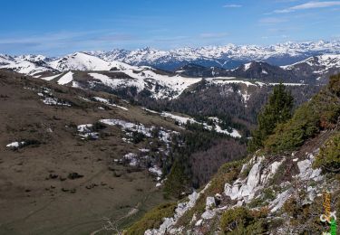 Excursión Senderismo Mazuby - Le Pic d''Ourtiset 1934 m, depuis le Col de Tourrugue - Photo