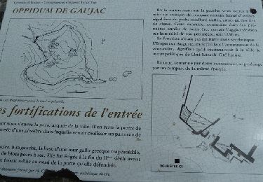 Tour Wandern Gaujac - L''Oppidum de Gaujac - Photo