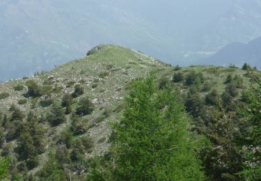 Trail Walking Ilonse -  Du Col de la Sinne au Brec d''Ilonse - Photo