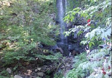 Tour Wandern Mont-Dore - Mont-Dore Cascades_T - Photo