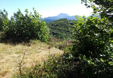 Randonnée Marche Volvic - Puy de Jume - Photo