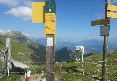 Tocht Stappen Glandage - le jocou - Photo