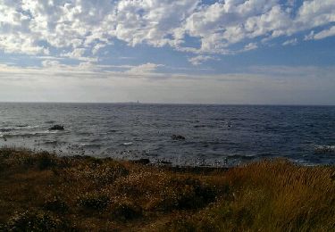 Excursión Bici de montaña Noirmoutier-en-l'Île - marais salant et côte Nord - Photo