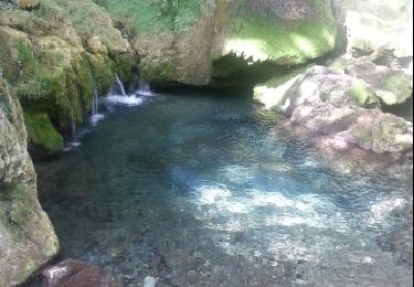 Trail Walking Le Chaffal - circuit de la vacherie au moulin de la pipe - Photo