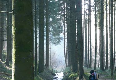 Trail Walking Bouillon - RB-LUX-12 - Raccourci - Premier contact avec la Semois - Photo
