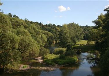 Tour Wandern Rochefort - Walk along the river Lesse and through bucolic landscapes - Photo