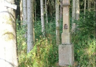 Tocht Stappen Moussey - tour par vierge stèle croix hermite - Photo