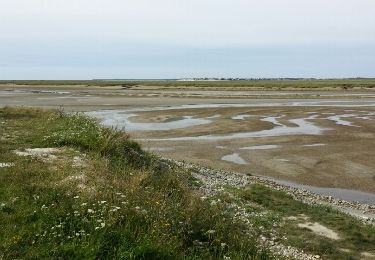 Randonnée Marche Le Crotoy - traversée baie de somme - Photo