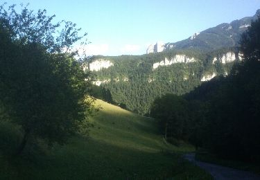 Trail Running Engins - engins 1 - Photo