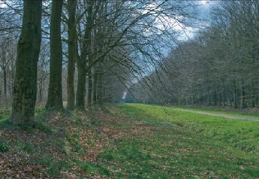 Trail Walking Mons - RB-Ha-13 - Raccourci - Sur les terres du prince de Ligne - Photo