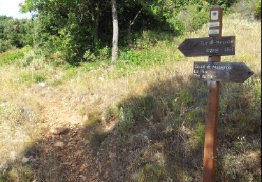 Trail Walking Grasse - petit rando au dessus de Grasse - Photo