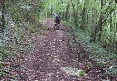 Trail Mountain bike Chauffour-sur-Vell - Le bois de l'empire - Photo