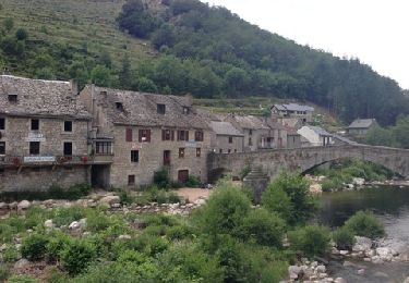 Tour Mountainbike Mont Lozère et Goulet - Station du Mont Lozere - Hospitalet - Photo