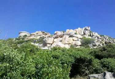 Trail Walking Belvédère-Campomoro - 130924-Campomoro - Photo