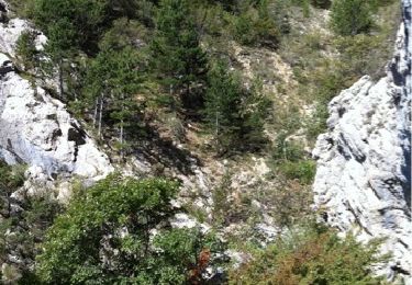 Randonnée Course à pied Ventavon - Pic de Crigne-Col des Selles - Photo