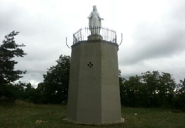 Randonnée Marche Upie - Le Mont Miéry - Photo