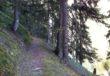 Trail Walking Champagny-en-Vanoise - 11km champagne en vanoise - Photo