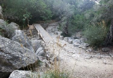 Trail Walking Fornalutx - Soller Mallorca - Photo