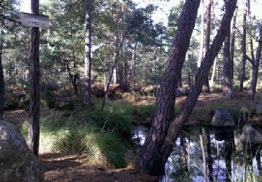 Trail Walking Fontainebleau - 131031-PREPA SamoisCassepot Audio - Photo