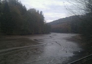 Tocht Stappen La Petite-Pierre - Etang de Donnenbach - Photo