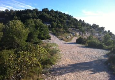 Trail Walking Marseille - Mont de Morgiou - Photo