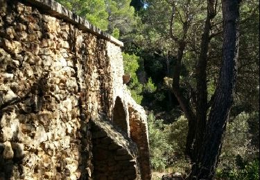 Excursión Bici de montaña Caromb - barroux - Photo