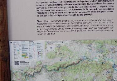 Trail Walking Saint-Bonnet-du-Gard - Pont du Gard - Photo