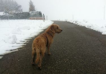 Tocht Andere activiteiten Saint-Étienne - cc - Photo