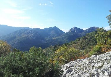 Excursión Senderismo Castellar - Mont Carpano en boucle - Photo