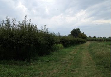 Tocht Stappen Sernhac - 1 jour - Photo