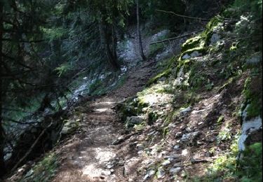 Excursión Senderismo Beaumont-du-Ventoux - 4 jours - Photo