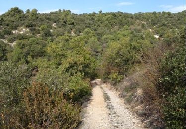 Tocht Stappen Saint-Saturnin-lès-Apt - Saint Saturnin les Apt PR35 - Photo