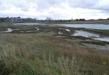 Tour Mountainbike Dinard - Frémur-Saint Lu - Photo