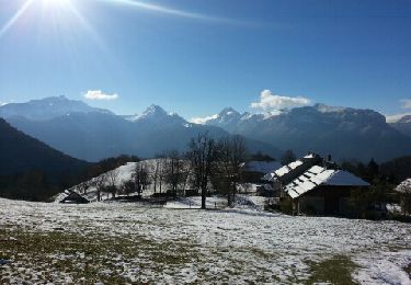 Tour Wandern Talloires-Montmin - Montmin - La Chavane - Photo