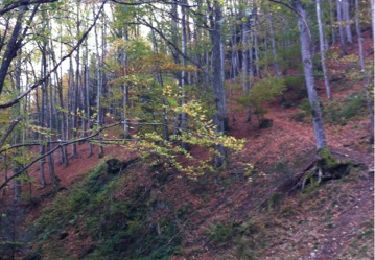 Trail Walking Saint-Étienne - le frioul - Photo