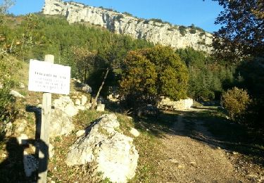 Randonnée Marche Gémenos - Vallon des Seignors et Vallon de saint Clair par la bergerie de Tuny - Photo