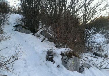 Randonnée Raquettes à neige Lans-en-Vercors - Comboursière  - Photo