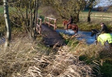Trail Equestrian La Croisille - les boscherons  - Photo