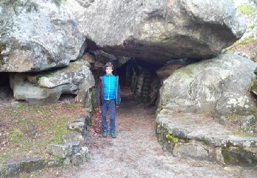 Tocht Stappen Fontainebleau - mt ussy - Photo